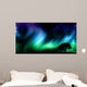 Night sky with norther lights with tree silhouettes Wall Mural