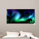Night sky with norther lights with tree silhouettes Wall Mural