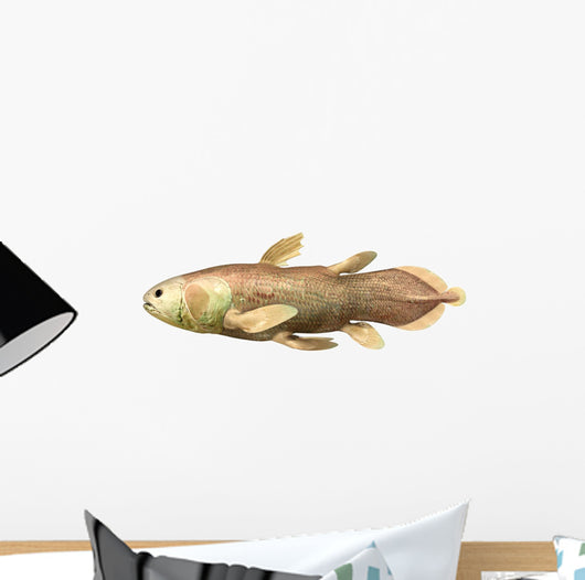 Latimeria Chalumnae fish Wall Decal