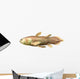 Latimeria Chalumnae fish Wall Decal