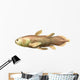 Latimeria Chalumnae fish Wall Decal