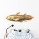 Latimeria Chalumnae fish Wall Decal