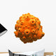 Orange Planet Asteroid Wall Decal
