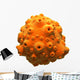 Orange Planet Asteroid Wall Decal