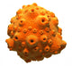 Orange Planet Asteroid Wall Decal