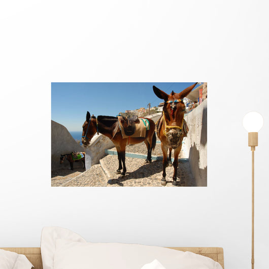 Donkey Mule Oia Santorini Wall Decal