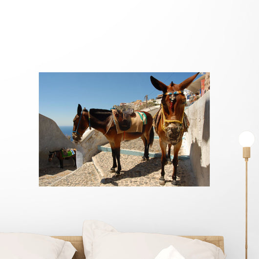 Donkey Mule Oia Santorini Wall Decal