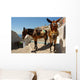 Donkey Mule Oia Santorini Wall Decal