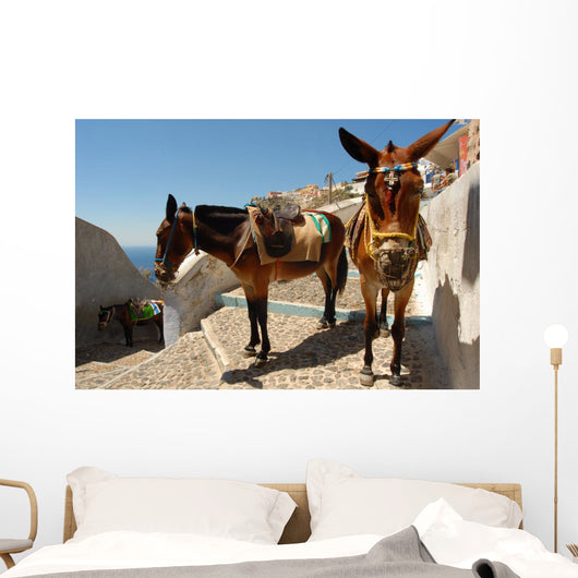 Donkey Mule Oia Santorini Wall Decal