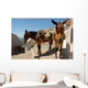 Donkey Mule Oia Santorini Wall Decal