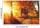 Fall. Autumn Park. Autumnal Trees and Leaves in sun rays Wall Mural