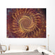 Spiral Background. Wall Mural