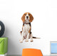 Beagle Puppy over White Wall Decal