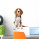 Beagle Puppy over White Wall Decal