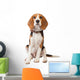 Beagle Puppy over White Wall Decal