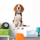 Beagle Puppy over White Wall Decal