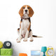 Beagle Puppy over White Wall Decal