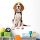 Beagle Puppy over White Wall Decal