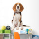 Beagle Puppy over White Wall Decal