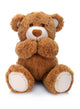 Teddy Bear White Wall Decal