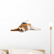 Beagle Dog on White Background Wall Decal