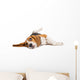 Beagle Dog on White Background Wall Decal