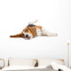 Beagle Dog on White Background Wall Decal