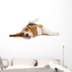 Beagle Dog on White Background Wall Decal