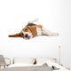 Beagle Dog on White Background Wall Decal