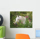 Picturesque Garden Horse Wall Mural