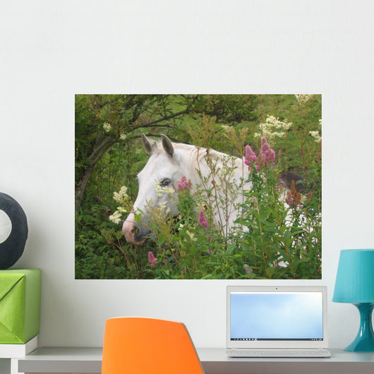 Picturesque Garden Horse Wall Mural