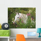 Picturesque Garden Horse Wall Mural