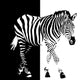 Black White Zebra Wall Decal
