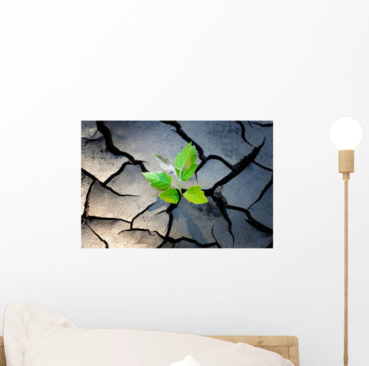 young plant growing through the ground Wall Mural