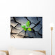 young plant growing through the ground Wall Mural