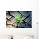 young plant growing through the ground Wall Mural