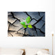 young plant growing through the ground Wall Mural