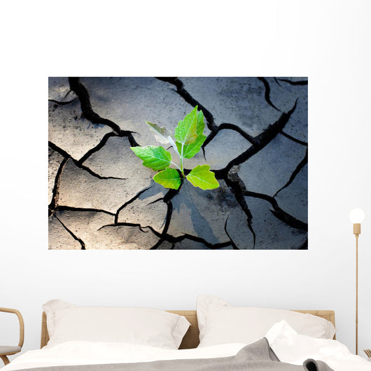 young plant growing through the ground Wall Mural