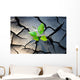 young plant growing through the ground Wall Mural