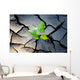 young plant growing through the ground Wall Mural