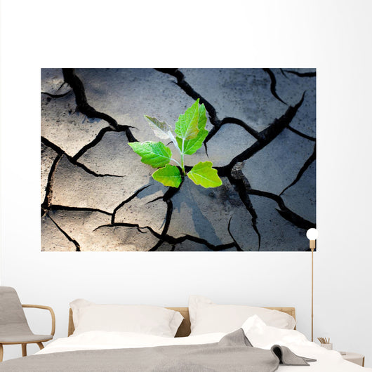 young plant growing through the ground Wall Mural