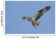 Osprey (pandion haliaetus) In Flight With A Fish Wall Mural