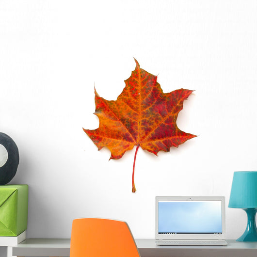 Maple leaf Wall Decal