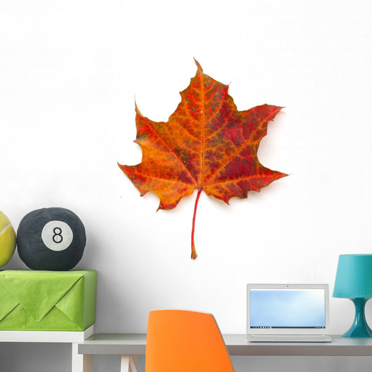 Maple leaf Wall Decal