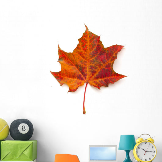 Maple leaf Wall Decal