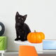 Cute Black Kitten Next Wall Decal