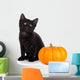 Cute Black Kitten Next Wall Decal