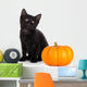 Cute Black Kitten Next Wall Decal