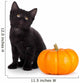 Cute Black Kitten Next Wall Decal