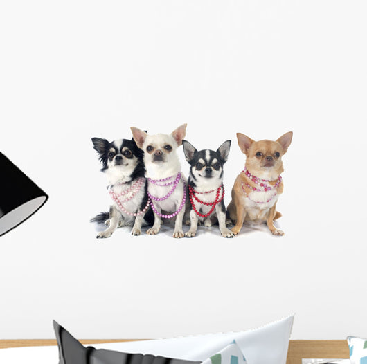 Four Fashionable Chihuahuas Wall Decal